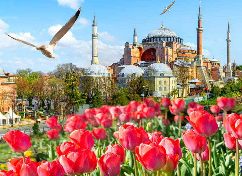 Турция, Стамбул, Grand Anka Hotel 4 *, 7794 грн. за 1 чел.