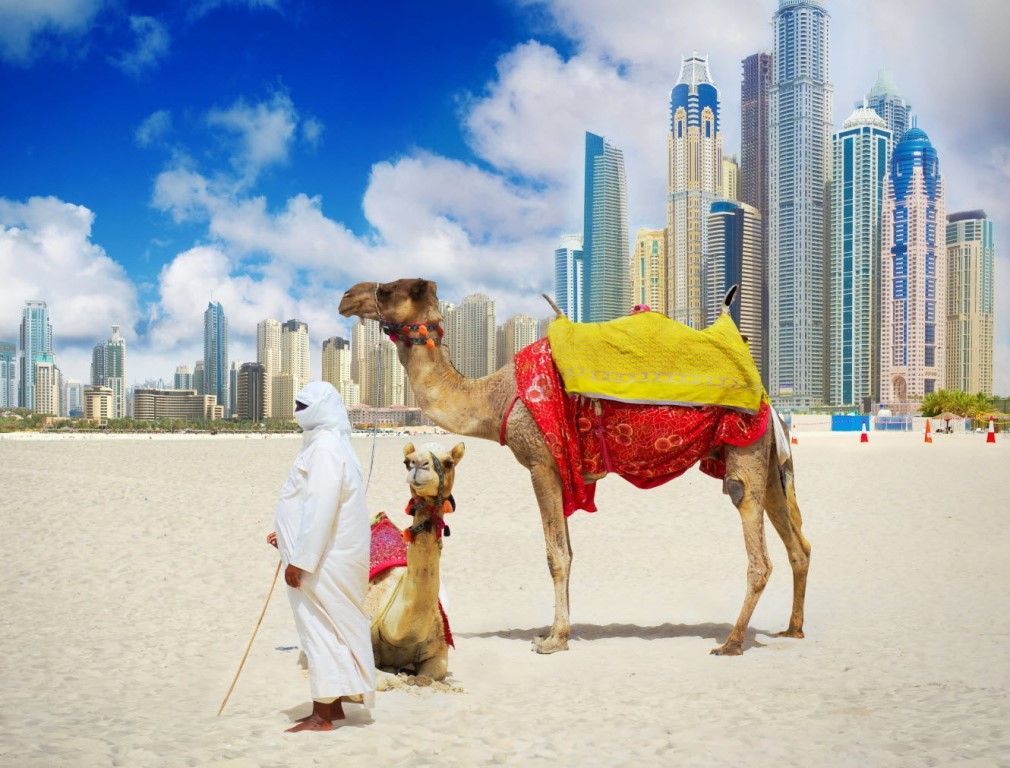 ОАЭ, Дубай, Aloft Palm Jumeirah 4*, 382$