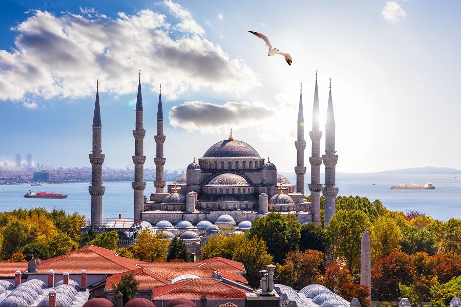 Турция, Стамбул, Grand Liza Hotel 3*, 265 евро за чел.