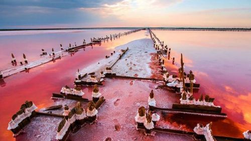 розовое море